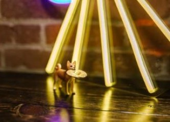 币圈十大交易所排名有哪些 币圈知名交易所