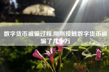 数字货币被骗几十万怎么办？如何报案及防范数字货币诈骗指南